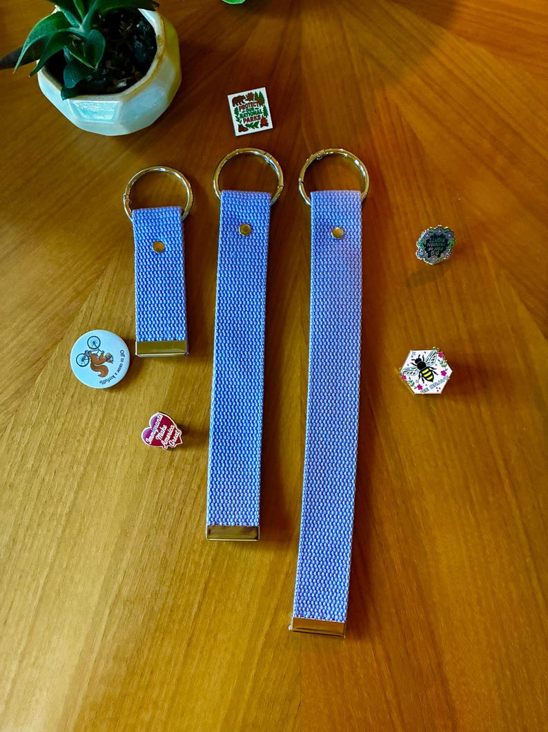 May include: Three light purple fabric wristlet keychains with gold-tone hardware, each featuring a circular ring. The set is accompanied by five small decorative pins, including designs of a squirrel, a bee, and text reading Protect Our National Parks.