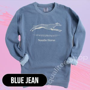 Pode incluir: Um moletom azul jeans com um gr&aacute;fico branco de um c&atilde;o correndo e as palavras "Noodle Horse" abaixo. O moletom tem gola redonda e mangas compridas com punhos canelados. O texto "BLUE JEAN" est&aacute; em um oval preto na parte inferior.