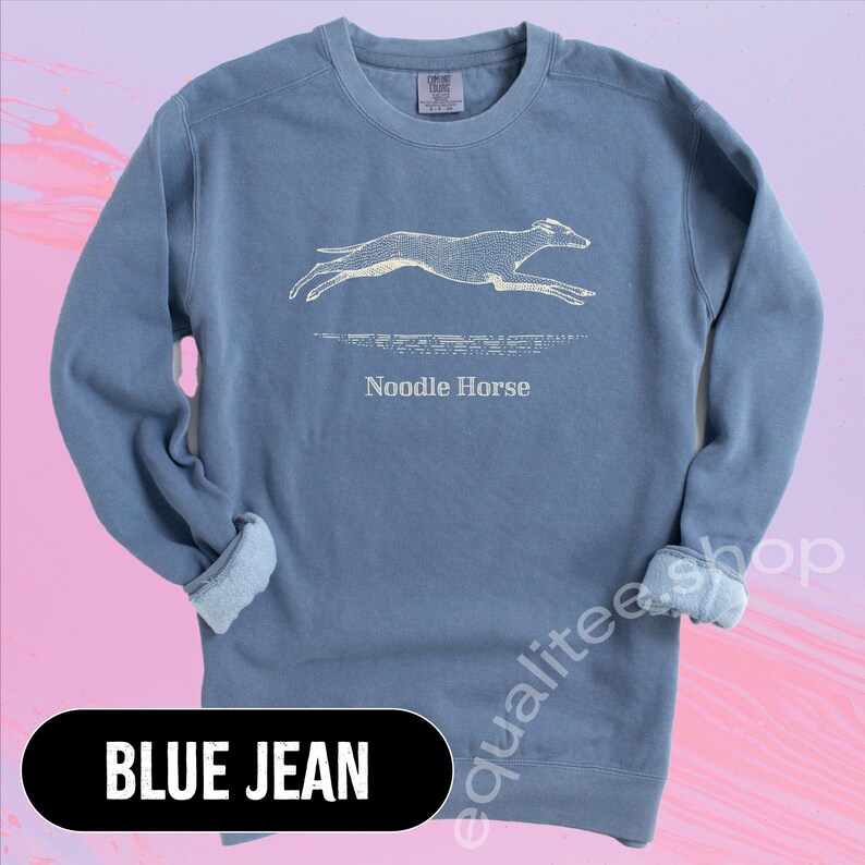 Pode incluir: Um moletom azul jeans com um gr&aacute;fico branco de um c&atilde;o correndo e as palavras "Noodle Horse" abaixo. O moletom tem gola redonda e mangas compridas com punhos canelados. O texto "BLUE JEAN" est&aacute; em um oval preto na parte inferior.