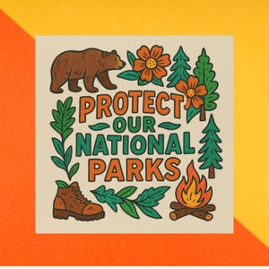 Protect Our National Parks Bumper Magnet, Anti Trump Magnet, Liberal Political Statement, 5"x5" Car Decal, Fridge Magnet image 4