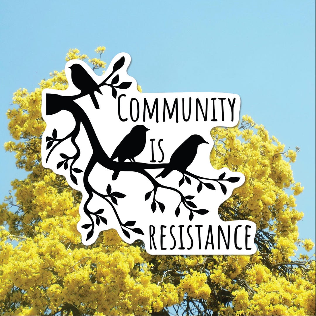 Community Sticker Community is Resistance Sticker Mutual Aid Birds Sticker Anti-fascist ...