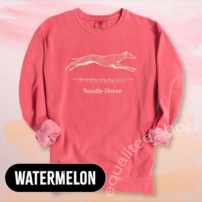Pode incluir: Um moletom cor de melancia com um gr&aacute;fico branco de um galgo correndo e as palavras "Noodle Horse" impressas abaixo. O moletom tem gola redonda e mangas compridas com punhos enrolados. A palavra "WATERMELON" &eacute; impressa em um ret&acirc;ngulo preto na parte inferior.