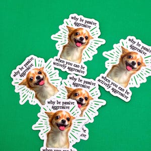 Pu&ograve; includere: Una collezione di adesivi bianchi con l'illustrazione di un cane chihuahua sorridente. Ogni adesivo presenta il testo "why be passive aggressive when you can be actively aggressive" in un design a scoppio verde, su sfondo verde.