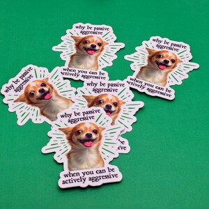 Pu&ograve; includere: Una collezione di adesivi con un cane Chihuahua sorridente e il testo "why be passive aggressive when you can be actively aggressive" su sfondo verde. Gli adesivi hanno un bordo bianco e un design a raggi.