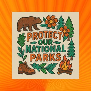 Protect Our National Parks Bumper Magnet, Anti Trump Magnet, Liberal Political Statement, 5"x5" Car Decal, Fridge Magnet image 6