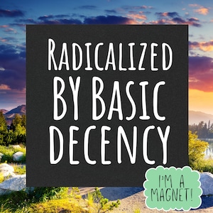 May include: A black square magnet with white text that reads "RADICALIZED BY BASIC DECENCY." A green speech bubble at the bottom right says "I'M A MAGNET!" The background is a scenic landscape with mountains and a lake.