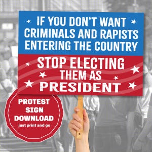 Don't Elect Criminals as President Anti Trump Protest Sign | Digital Download | Liberal Printable | Political Wall Art