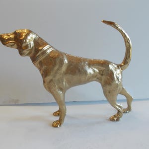 Op de afbeelding: Een goudkleurig beeld van een jachthond. De hond staat met zijn staart omhoog gebogen. Het beeld heeft een getextureerd oppervlak en is waarschijnlijk van metaal. De kop van de hond is iets naar links gedraaid.