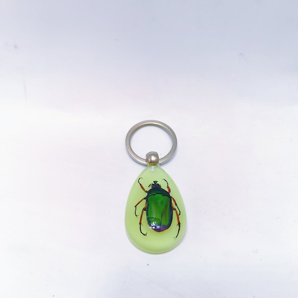 Scarab with shovel Resin Keychain with Real Insect Sample, Glow in the Dark Keychain Crafts Glow Keychain for Men ,Perfect for Preschool