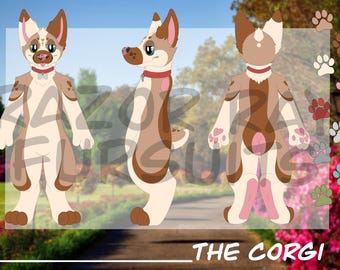 Fursona Adoptables // Corgi Reference Sheet Adopt // Furry Fandom Original Characters