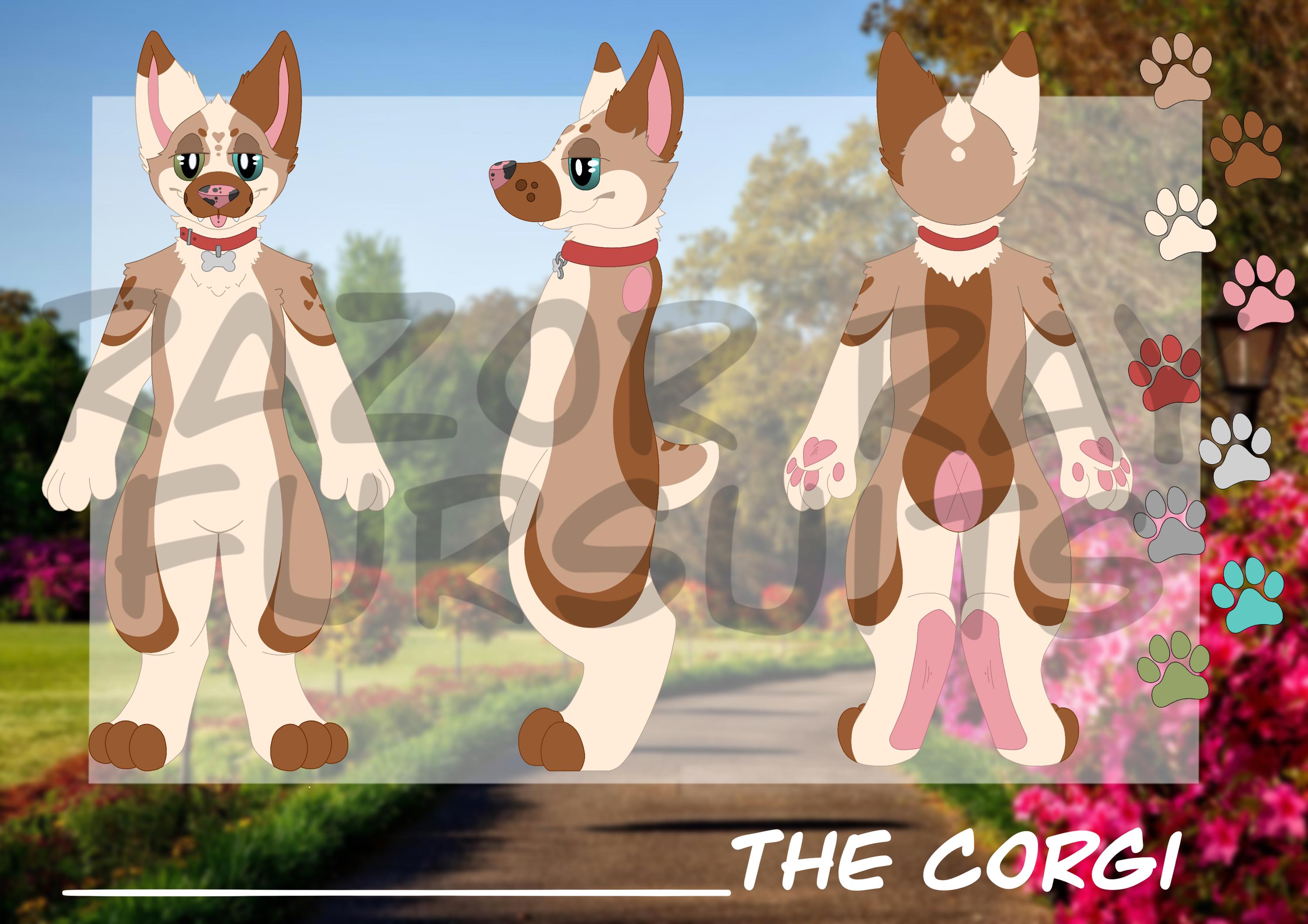 Corgi furry adopt - Etsy Österreich, image size:3000x2120