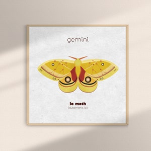 Astrology Zodiac Moth Art Print for Gemini