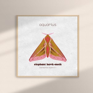 Astrology Zodiac Moth Art Print for Aquarius