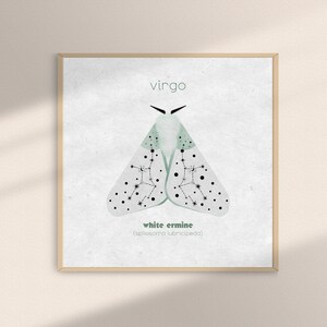 Astrology Zodiac Moth Art Print for Virgo