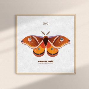 Astrology Zodiac Moth Art Print for Leo