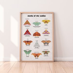 Zodiac Moth Art Print