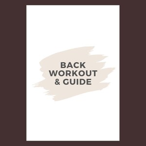 Back Workout Guide