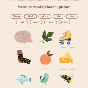 Learn English Back-to-School Quiz Game for Kids: Fun and Educational Activities picture quizzes