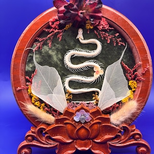 Echtes Schlangen-Skelett Taxidermied Knochen montiert auf Plüsch in Lotus Holzrahmen mit wilden Blumen einzigartiges Geschenk Geburtstag witchy gothic
