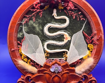 May include: A decorative, round wooden frame with a snake skeleton centerpiece. The frame features a dark red finish, a green velvet background, and dried floral accents. The base is a carved lotus flower.