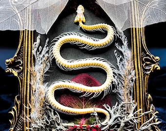 May include: A framed, ornate display featuring a snake skeleton. The frame is gold with intricate detailing, and the snake is positioned over a dark background with red and green foliage. The top of the frame has a skull and leaf accents.