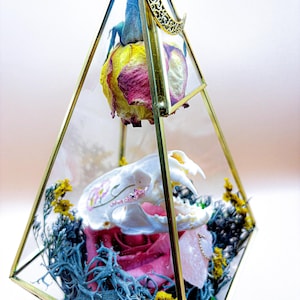 Real Mink Skull Pyramid Terrarium: Wildflower & Moonstone Display