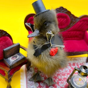 Pato taxidermizado, taxidermia portátil con estuche que se engancha a cualquier bolso o cartera. Pato de apoyo emocional.
