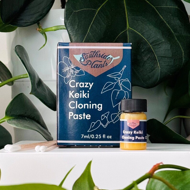 Keiki Paste Klon Orchideen & Zimmerpflanzen wie Monstera, Philodendron, Pothos und mehr Bild 1