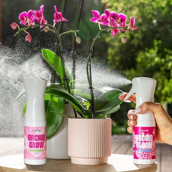 Orchid Liquid Plant Food - Fine Mist Sprays - Etsy