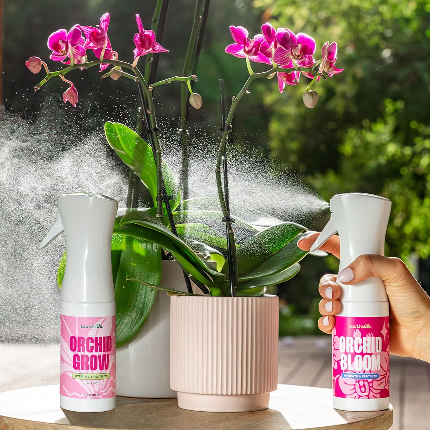 Orchid Liquid Plant Food - Fine Mist Sprays - Etsy