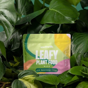 Leafy Plant Food