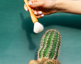 Cactus Cleaning Brushes - 2 Pack - For Dusting Cacti, Succulents & other Spiny Fuzzy Plants, Great for Repotting Messes Too