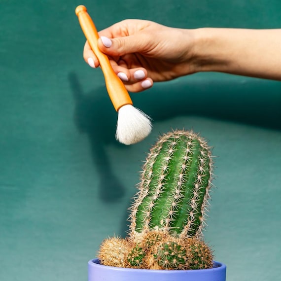 Cactus Cleaning Brush Set - Goat Hair Bristles for Succulents (2 Pack)