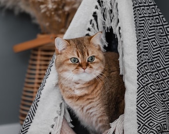 The hanging cat tipi bohemian