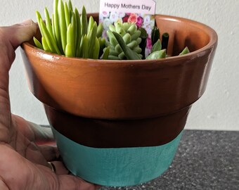 Un pot en terre cuite peint à la main avec un assortiment de plantes succulentes et une étiquette pour la fête des mères