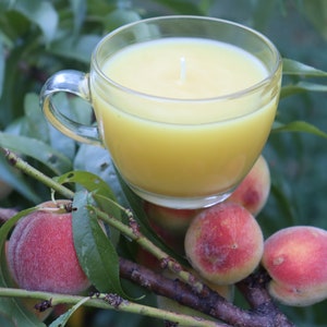 100% Natural Beeswax Candle in One of a Kind Glassware {-} Homegrown Beeswax without Artificial Fragrances {-} Hand Poured Small Batch