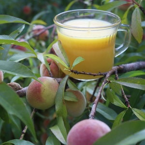 100% Natural Beeswax Candle in One of a Kind Glassware {-} Homegrown Beeswax without Artificial Fragrances {-} Hand Poured Small Batch