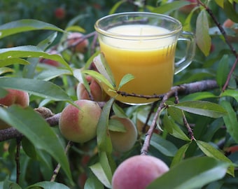 May include: A glass jar candle with a yellow wax scent, sitting on a branch of a peach tree with ripe peaches.