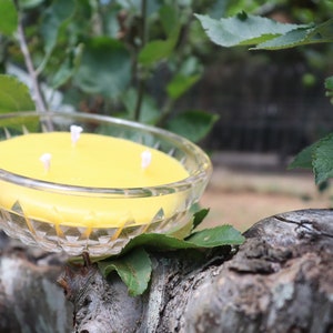 100% Natural Beeswax Candle in One of a Kind Glassware {-} Homegrown Beeswax without Artificial Fragrances {-} Hand Poured Small Batch