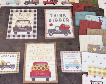 Paquete de 16 retazos de tela precortados y 1 panel de la colección Happy Day Farm. Tela de algodón precortada con diseño colorido de casa de campo. Paquete de tela de algodón de calidad para acolchado.