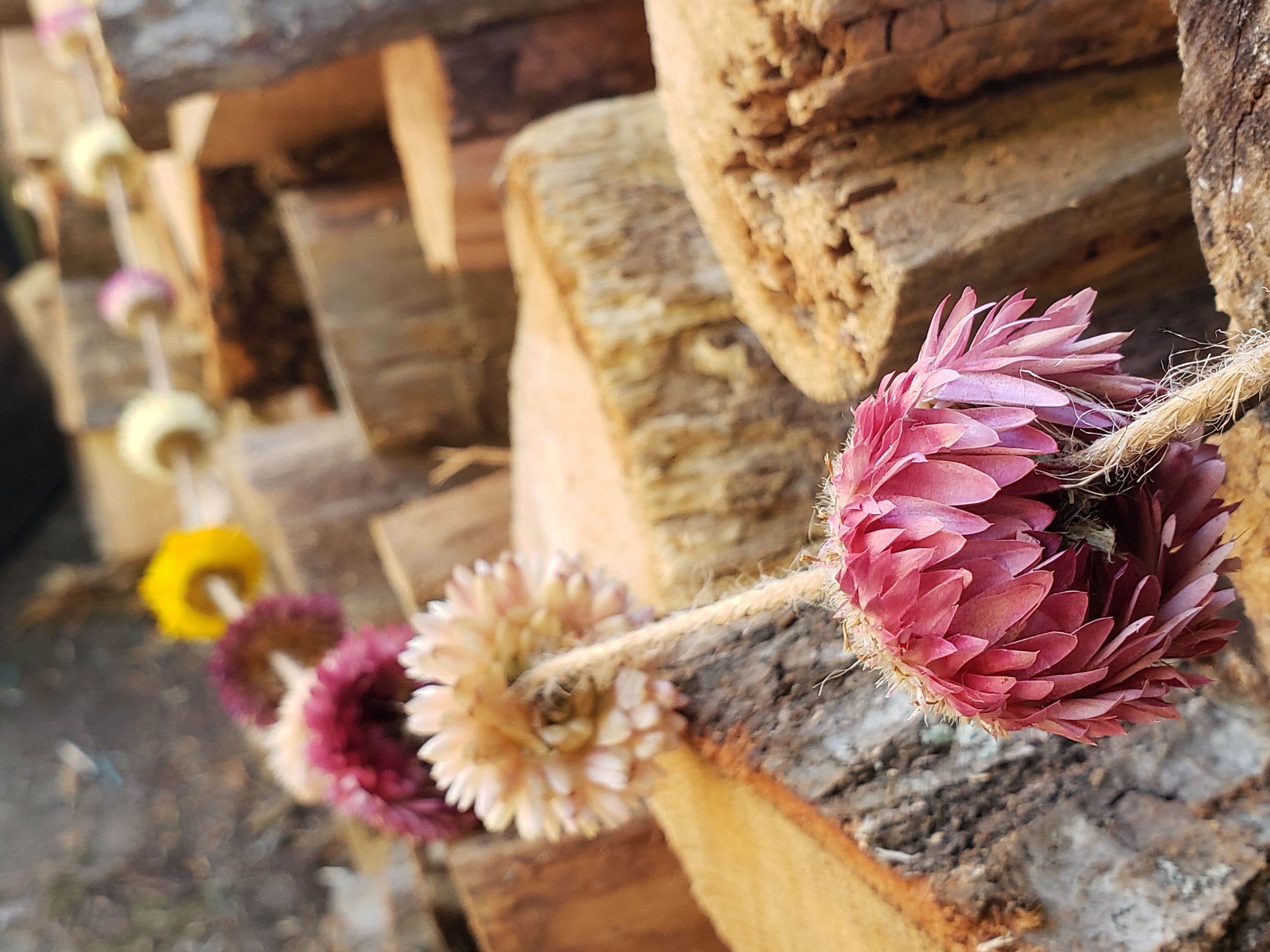 Tiny Flowers for Resin Dried Pink Gomphrena Strawflowers Dry