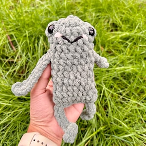Froggy Friend Crochet Pattern