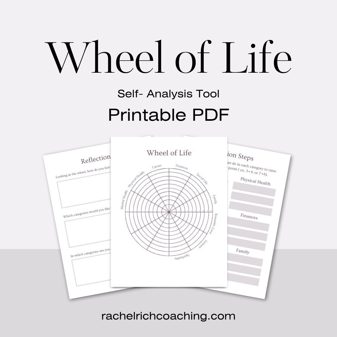 Wheel of Life Worksheet Template Wheel of Life Printable PDF - Etsy