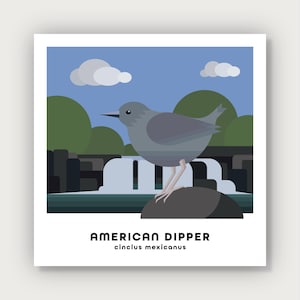 May include: A gray American Dipper bird perched on a rock near a waterfall. The bird has a short, stout beak and a rounded body. The background is a blue sky with white clouds and green trees.