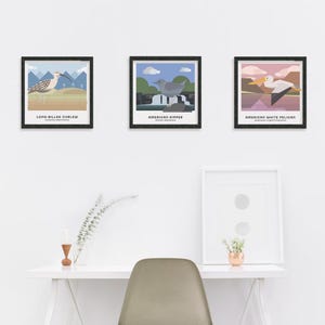 May include: Three framed prints of birds with their scientific names and common names. The prints are on a white wall above a white desk with a vase of greenery, a candle, and a small white frame.