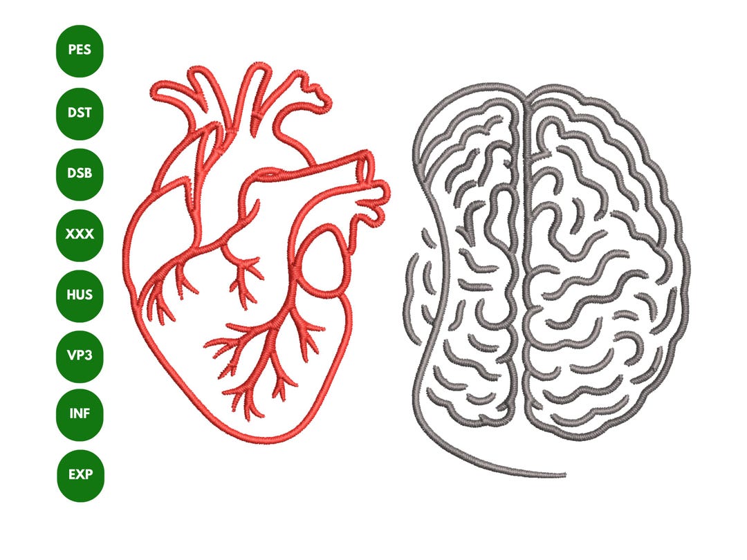 Brain Heart Line Art Embroidery Design (digital Download) - Etsy