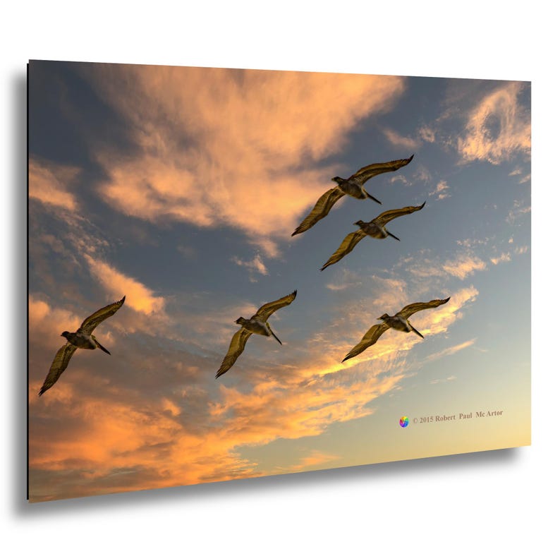 May include: A framed print featuring five pelicans in flight against a vibrant sunset sky. The birds are silhouetted, with wings spread wide. The sky transitions from orange to blue, creating a dramatic and colorful scene.