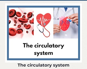 Circulatory System Activity Book for Kids; Human Heart Activity Book; Human Heart Anatomy Study; Cardiovascular System; Homeschool