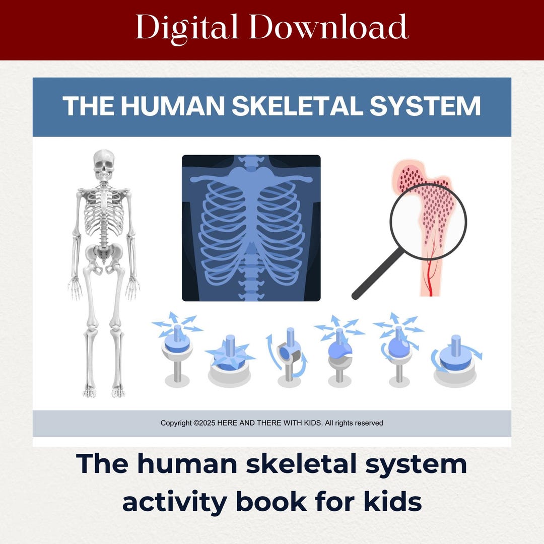 Skeletal System Activity Book for Kids Skeletal System Lesson Activity ...