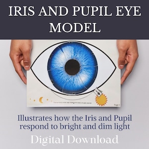 Puede incluir: Un modelo de ojo azul y negro con un iris y una pupila móviles. El modelo ilustra cómo el iris y la pupila responden a la luz brillante y tenue. El texto "IRIS AND PUPIL EYE MODEL" está en la parte superior de la imagen. El texto "Illustrates how the Iris and Pupil respond to bright and dim light" está en la parte inferior de la imagen. El texto "Digital Download" está en la parte inferior de la imagen.